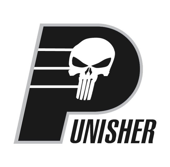 Indiana Pacers Punisher logo fabric transfer